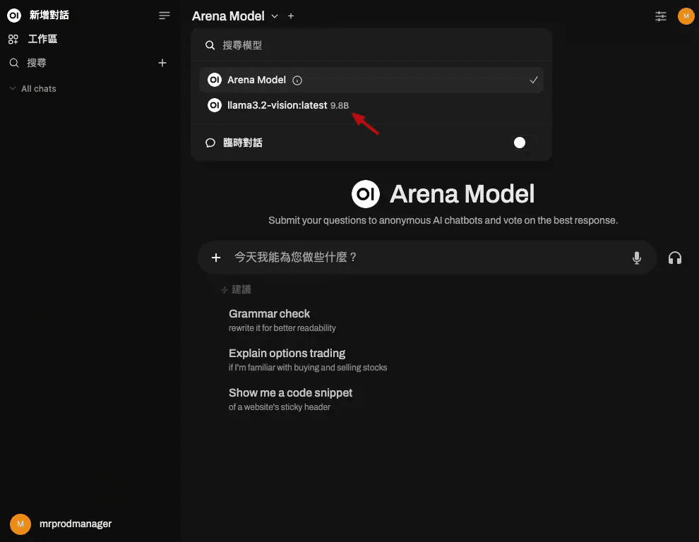 連你阿嬤都會用的本地 LLM 模型|我只是想玩不同的LLM 模型 25 image 24