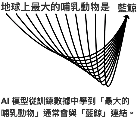 next token prediction 例子